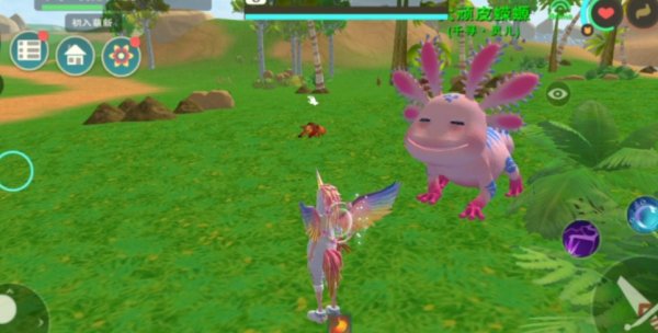 创造与魔法顽皮蝾螈极品资质怎么样