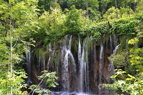 逃离美丽森林手游下载_逃离美丽森林官网下载_手机安卓苹果app