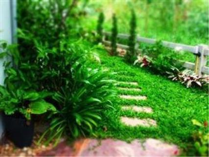 逃离绿色小屋2手游下载_逃离绿色小屋2官网下载_手机安卓苹果app