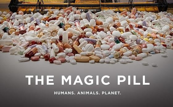 神奇药丸游戏下载_神奇药丸官网下载_手机安卓苹果app