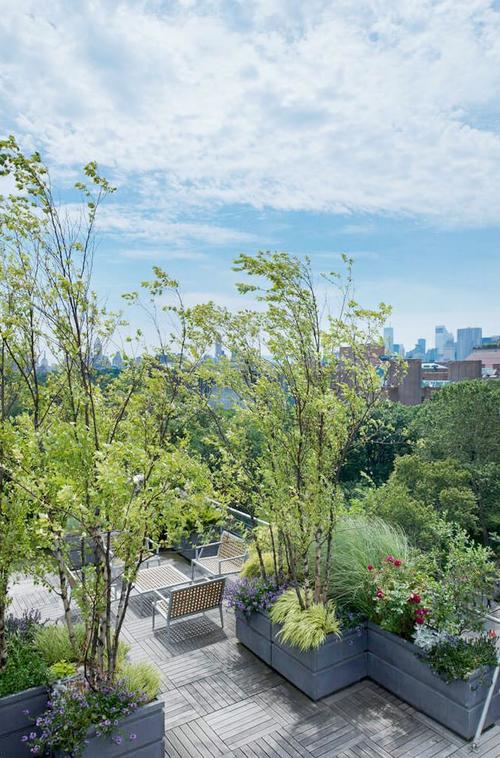 逃离绿色顶楼手游下载_逃离绿色顶楼官网下载_手机安卓苹果app