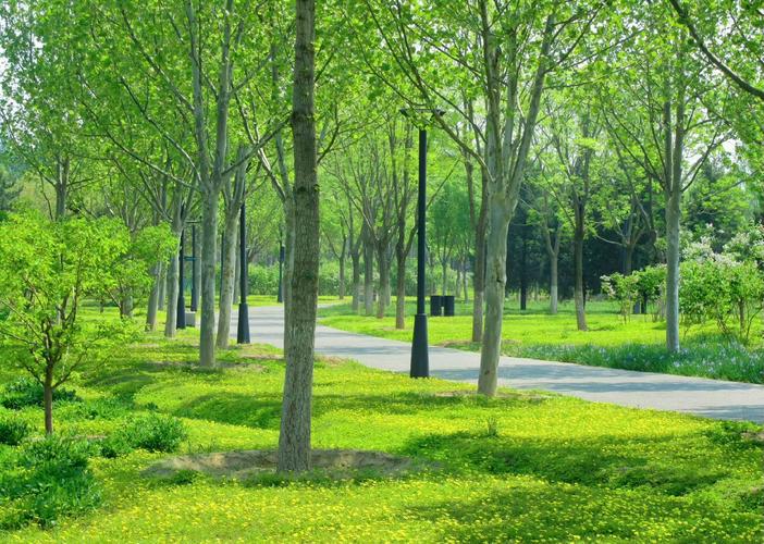 逃离绿色森林花园游戏下载_逃离绿色森林花园官网下载_安卓苹果app