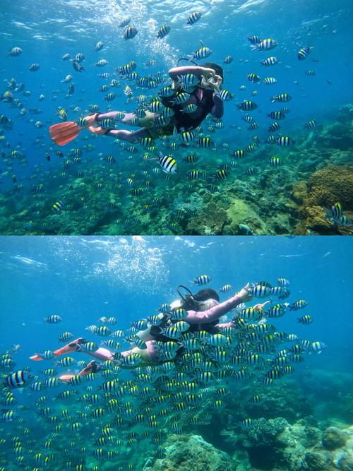 潜水战斗游戏下载_潜水战斗游戏官网下载_手机安卓苹果app