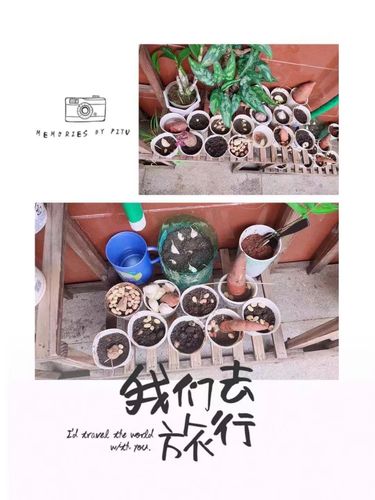 环保小超人游戏下载_环保小超人官网下载_手机安卓苹果app