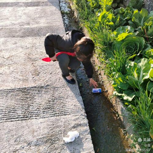 环保小卫士_捡垃圾游戏下载_儿童益智手游安卓苹果app