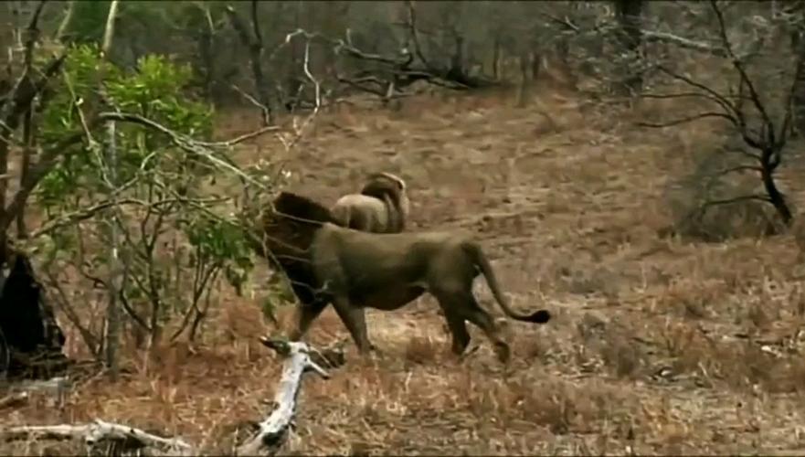 逃离撒旦密洞游戏下载_逃离撒旦密洞手游下载_逃离撒旦密洞安卓苹果app