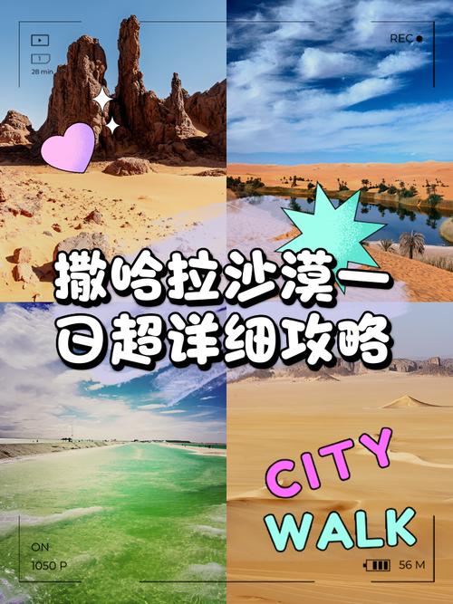 逃离撒哈拉大沙漠手游下载_逃离撒哈拉大沙漠官网下载_手机安卓苹果app