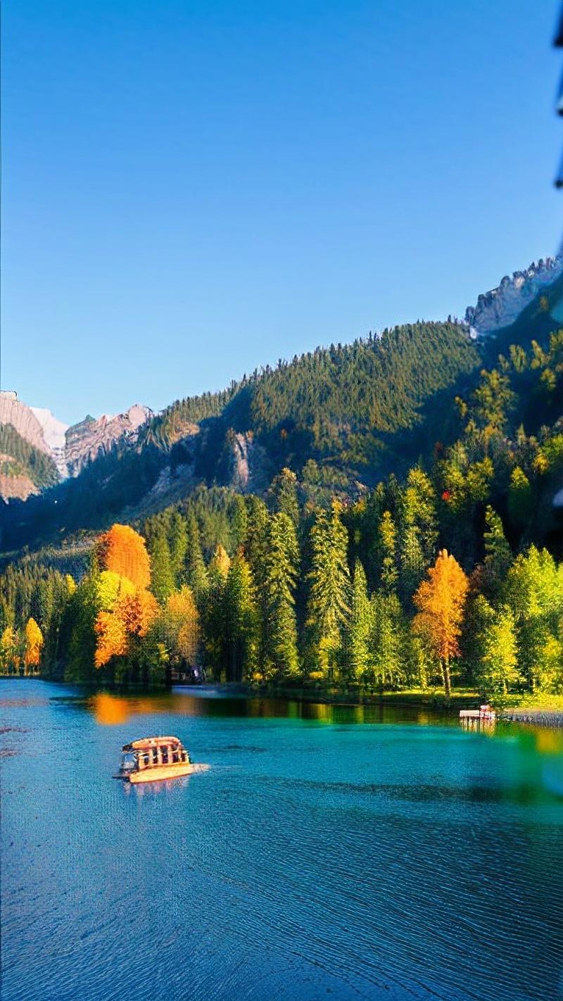 逃离宁静森林游戏下载_逃离宁静森林官网下载_手机安卓苹果app