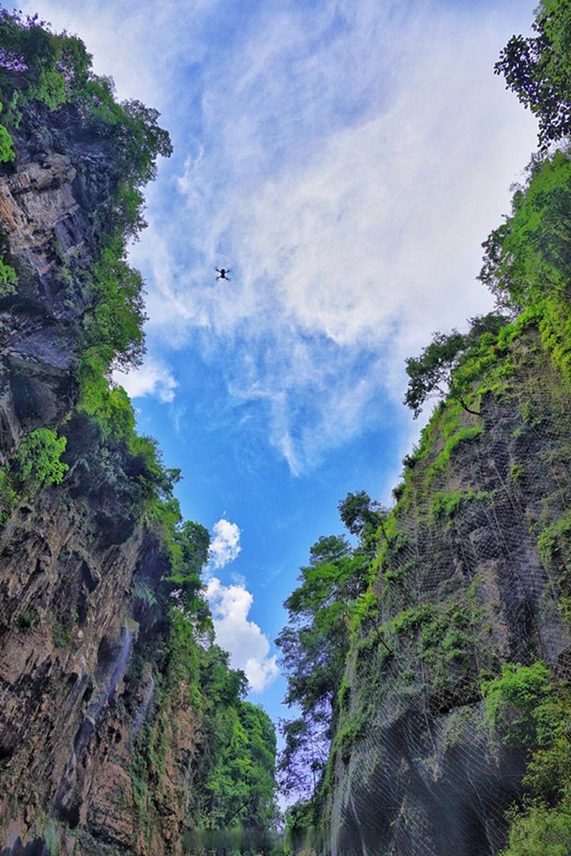 逃离宁静森林游戏下载_逃离宁静森林官网下载_手机安卓苹果app