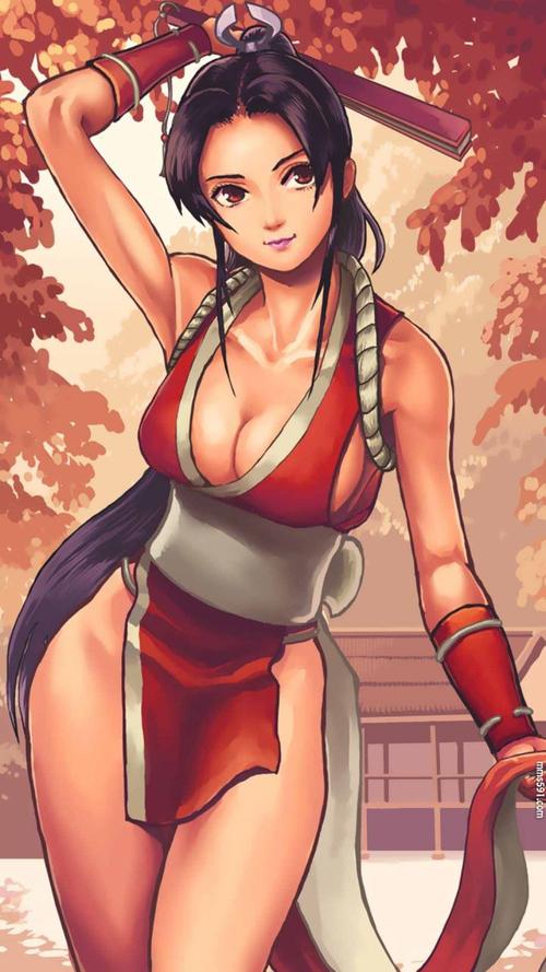 不知火舞大混战3无敌版游戏下载_游戏操作指南_最新版本