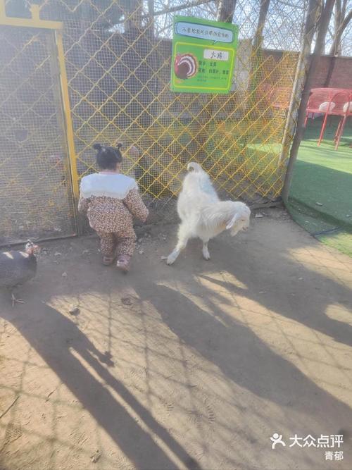 澳洲小动物乐园游戏下载_澳洲小动物乐园官网下载_手机安卓苹果app