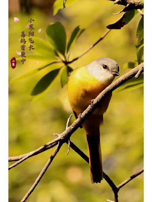 来打鸟游戏下载_来打鸟官网下载_手机安卓苹果app