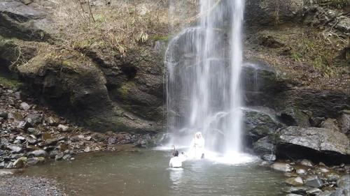 瀑布修行之旅手游下载_瀑布修行官网下载_安卓苹果app