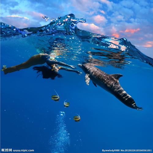 潜泳竞技手游下载_潜泳竞技官网下载_手机安卓苹果app