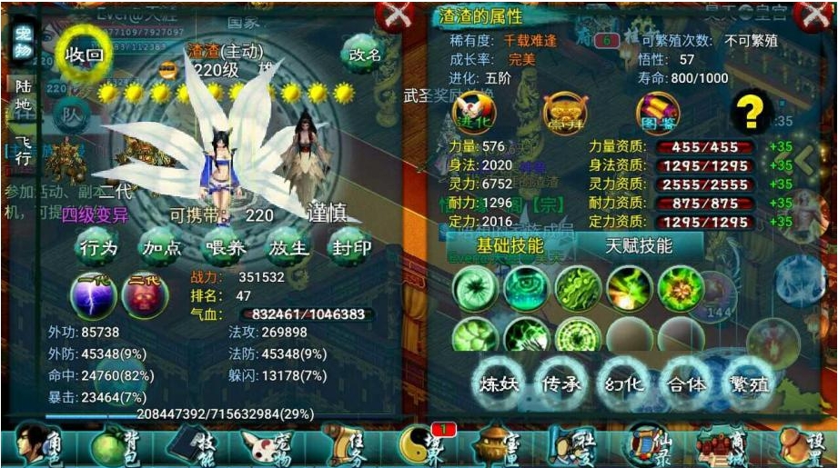 忘仙怎么练宠物