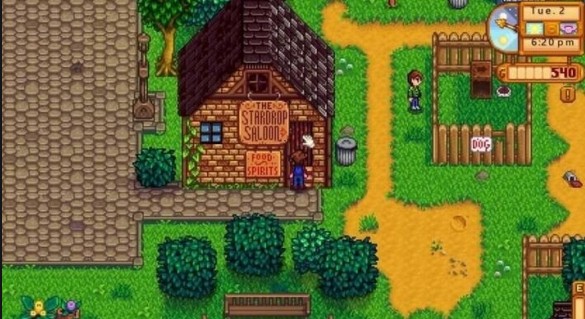 星露谷物语鹈鹕镇有哪些建筑