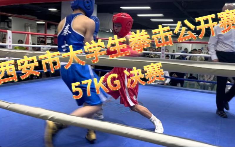 白领拳击赛下载官方版本_白领拳击赛手机版安卓苹果下载