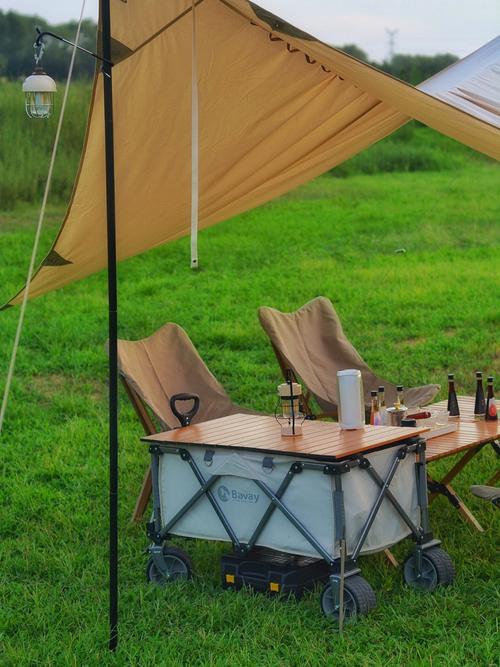 露营车户外停车游戏下载_露营车停车手游攻略_安卓苹果最新版本