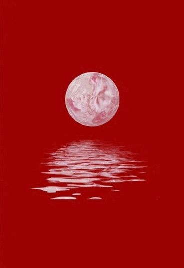 逃出红色系房间游戏下载_逃出红色系房间官网下载_手机安卓苹果app