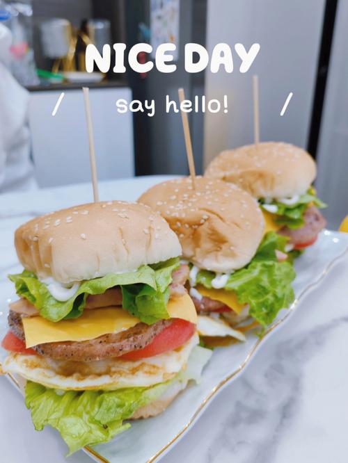 汉堡制作高手下载官方版本_汉堡制作高手手机版安卓苹果下载