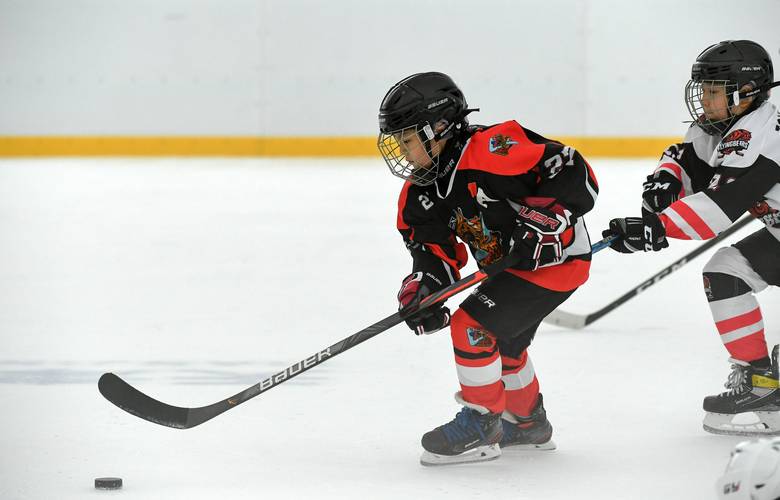 傀儡冰球斯坦利杯无敌版官网下载app_傀儡冰球斯坦利杯无敌版手游攻略_安卓苹果最新版本