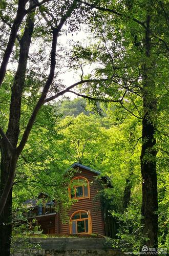 逃出温暖木屋游戏下载_逃出温暖木屋官网下载_手机安卓苹果app