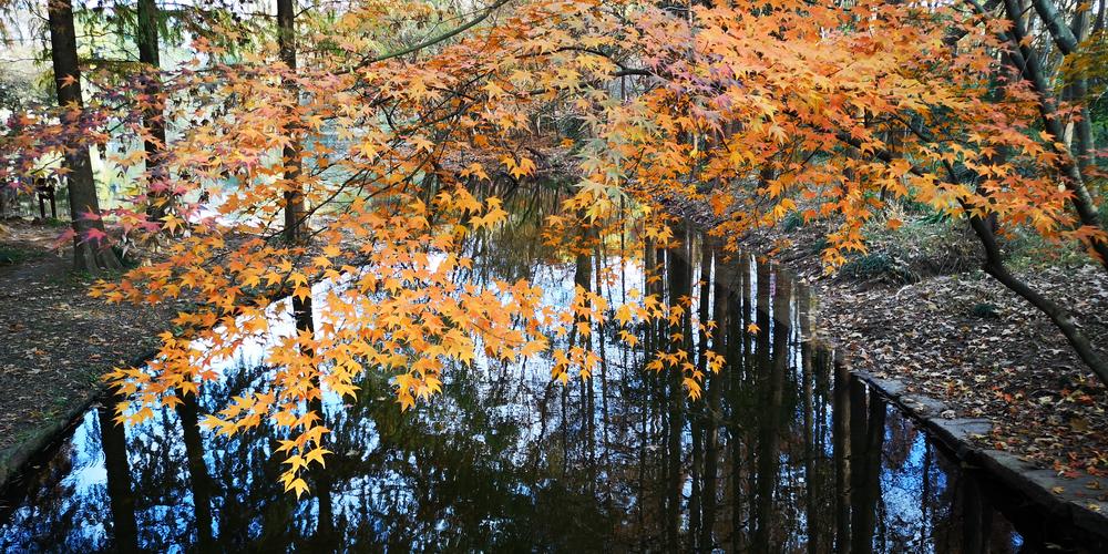 森林公园填色板游戏下载_森林公园填色板手游下载_森林公园填色板安卓苹果app