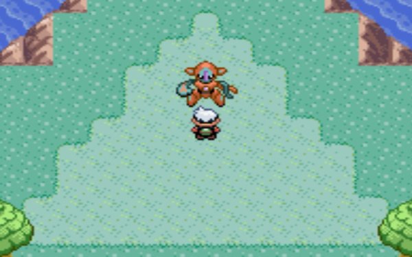 口袋妖怪怎样抓神兽