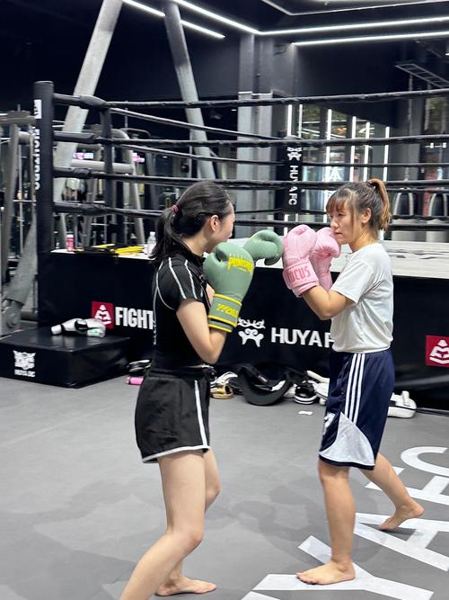 业余拳击争霸赛官方版本_业余拳击争霸赛手机版安卓苹果下载