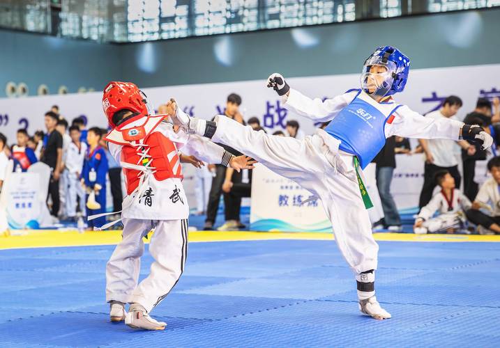 世界搏击赛下载官方版本_世界搏击赛手机版安卓苹果下载