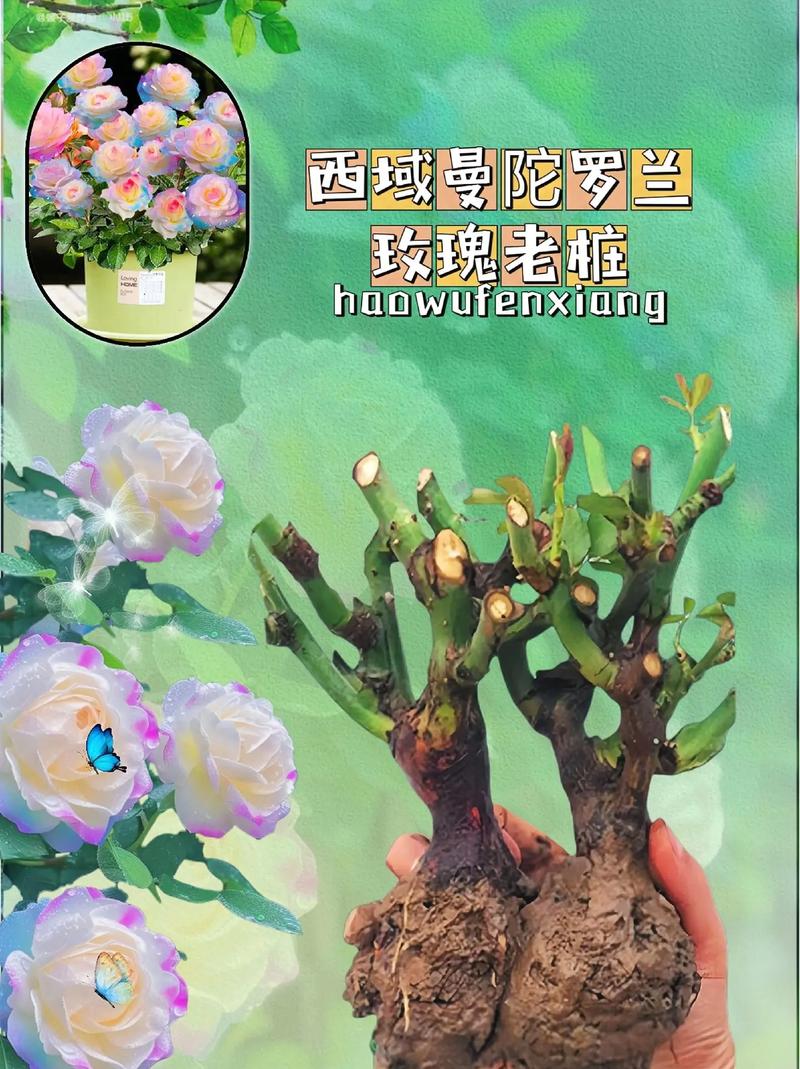 曼荼罗上色游戏下载_曼荼罗上色手游下载_曼荼罗上色安卓苹果app