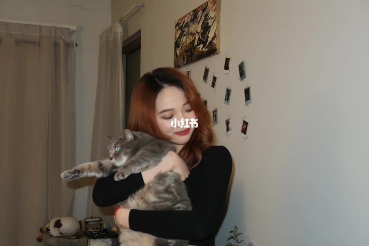 智能吸猫游戏下载_智能吸猫官网下载_手机安卓苹果app