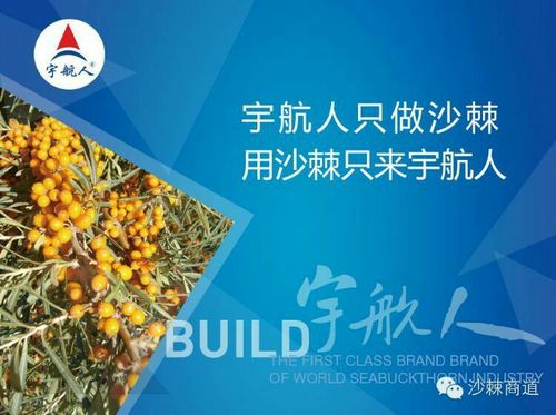 宇航人冒险手游下载_宇航人冒险官网下载_手机安卓苹果app