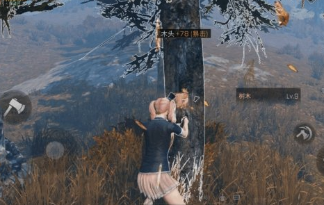 明日之后怎么重置加点 明日之后怎么重置加点