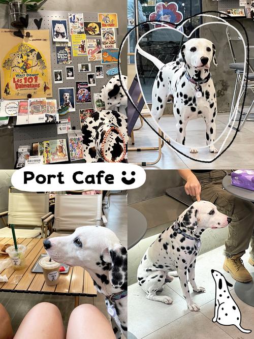 斑点狗的记忆游戏下载_斑点狗的记忆手游下载_安卓苹果app下载