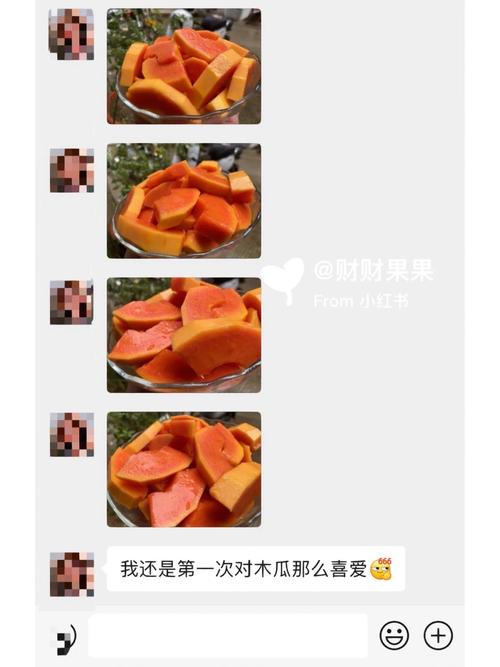 敲打木瓜游戏下载_敲打木瓜手游下载_敲打木瓜安卓苹果app