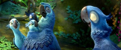 大脚鹦鹉冒险游戏下载_大脚鹦鹉冒险官网下载_手机安卓苹果app