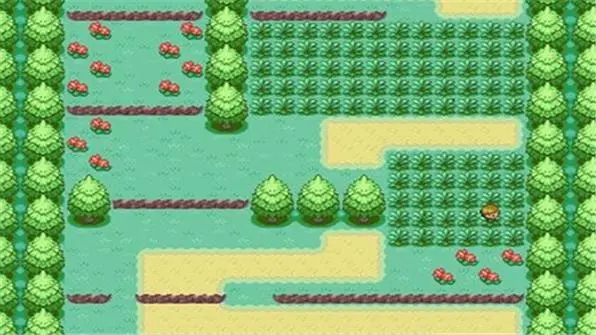 口袋妖怪叶绿全攻略分析 口袋妖怪叶绿全攻略分析