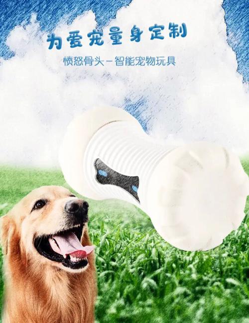 可爱狗狗找骨头游戏下载_可爱狗狗找骨头官网下载_手机安卓苹果app