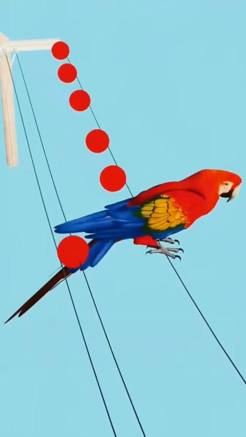 小鸟站在电线上游戏下载_小鸟站在电线上游戏官网下载_手机安卓苹果app