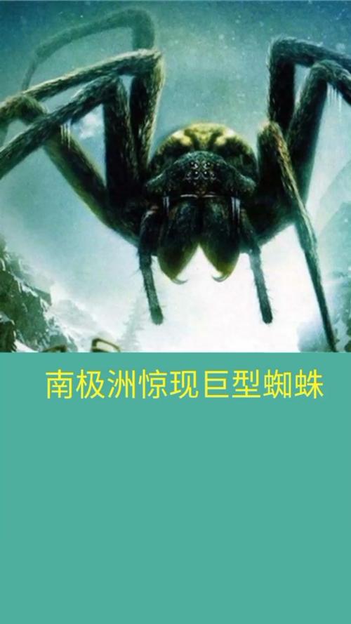 史前巨蛛游戏下载_史前巨蛛官网下载_手机安卓苹果app
