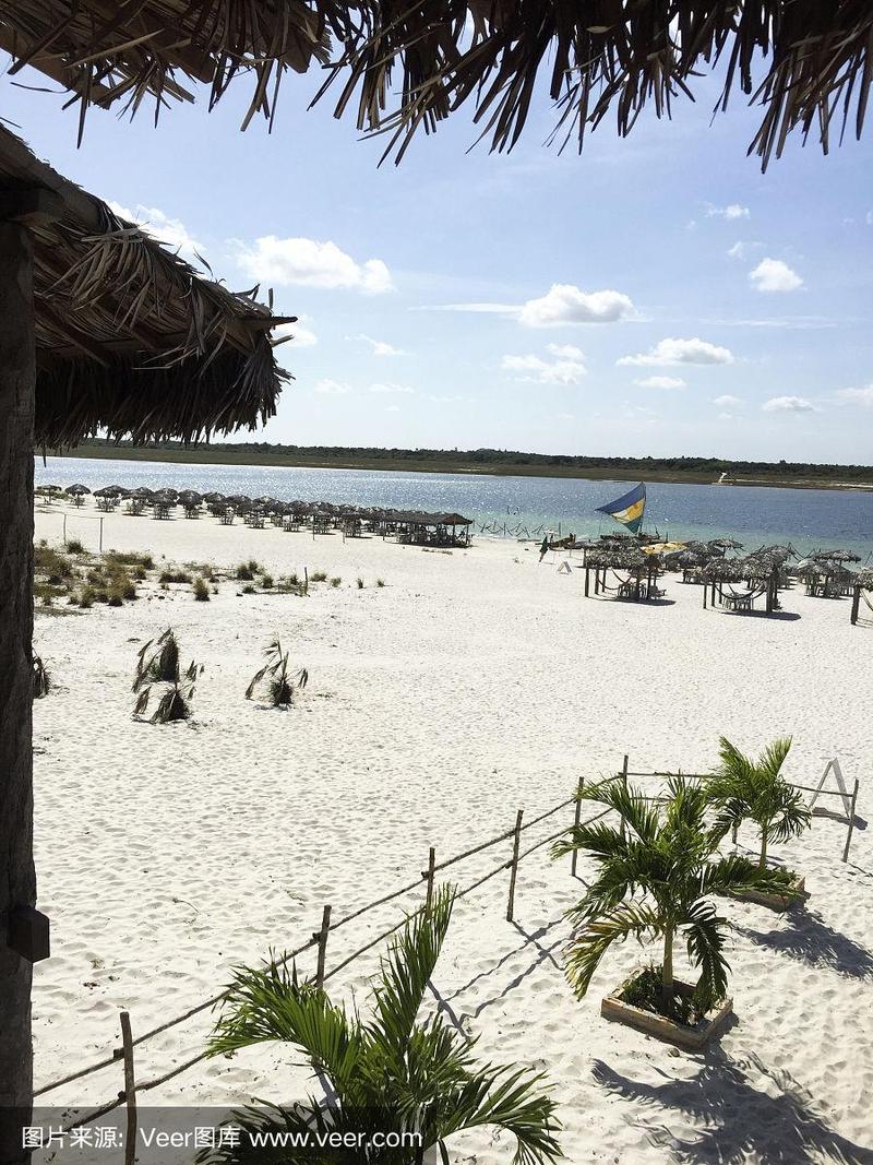 卡德蒙的绿果游戏下载_卡德蒙的绿果官网下载_安卓苹果手游app