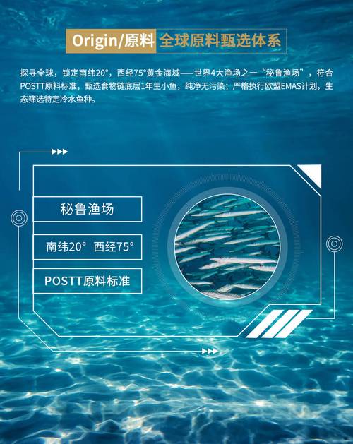 博斯特冒险手游下载_博斯特冒险官网下载_手机安卓苹果app