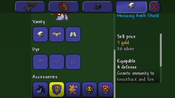 泰拉瑞亚法师饰品附魔什么好