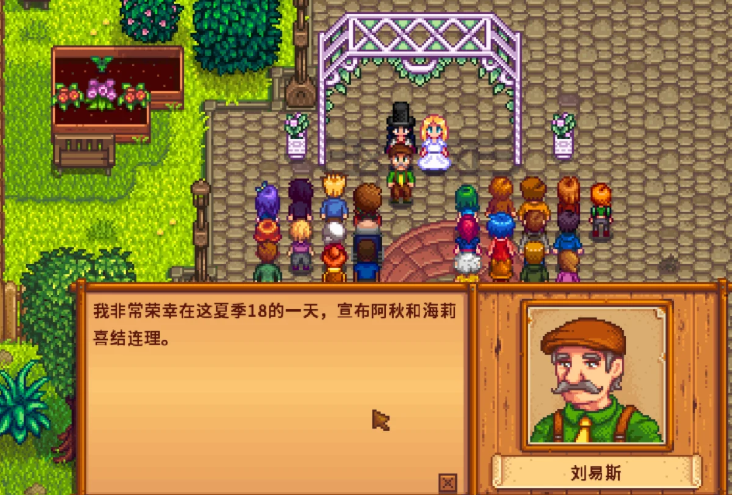 星露谷物语怎么和罗宾结婚