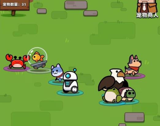 弹壳特攻队哪个宠物最好刷装备