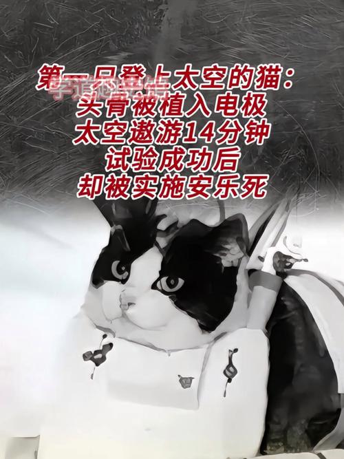 太空猫剿毁行动无敌版游戏下载_太空猫剿毁行动无敌版官网下载_太空猫剿毁行动无敌版安卓苹果app