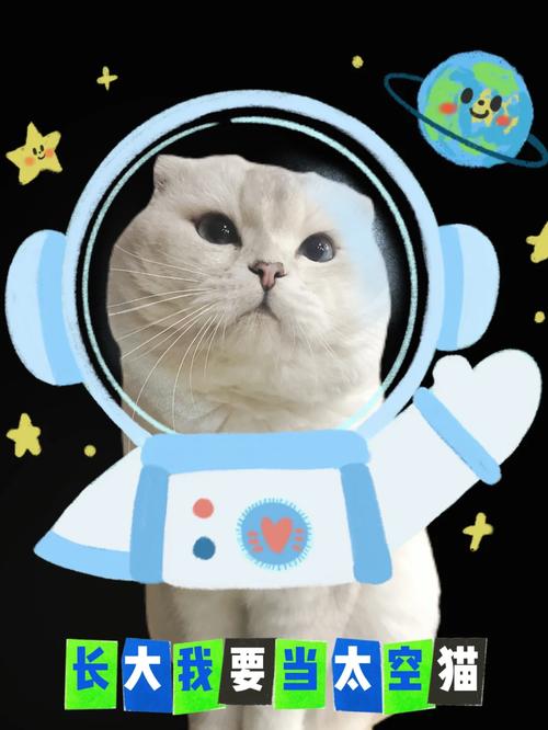 太空猫剿毁行动手游下载_太空猫剿毁行动官网下载_手机安卓苹果app