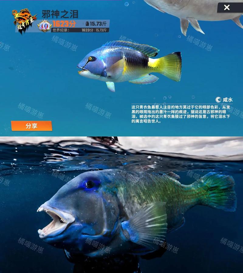 快乐的鱼儿图画册游戏下载_快乐的鱼儿图画册官方下载_安卓苹果app