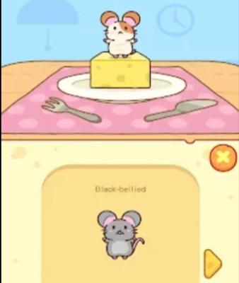 快乐的仓鼠图画册游戏下载_快乐的仓鼠图画册手游下载_快乐的仓鼠图画册安卓苹果app下载